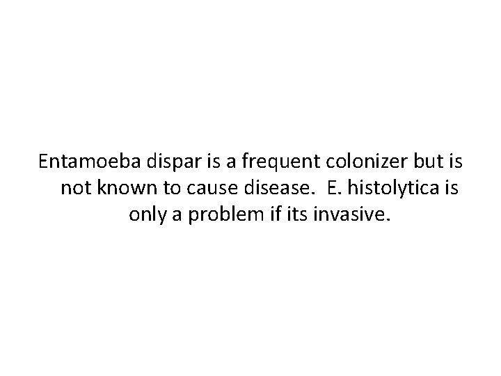 Entamoeba dispar is a frequent colonizer but is not known to cause disease. E.