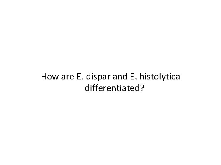 How are E. dispar and E. histolytica differentiated? 