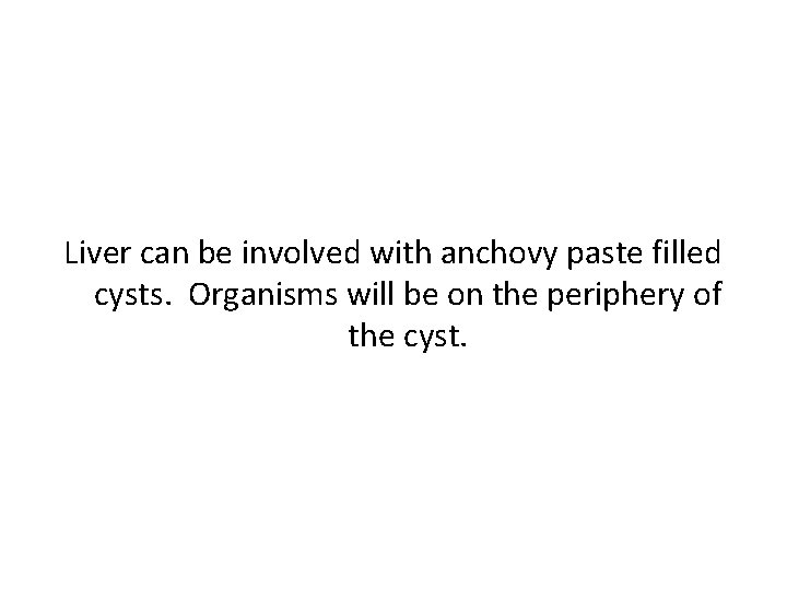 Liver can be involved with anchovy paste filled cysts. Organisms will be on the