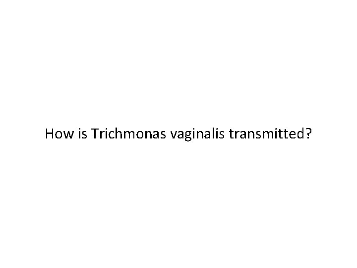 How is Trichmonas vaginalis transmitted? 