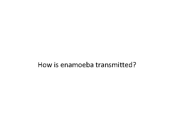 How is enamoeba transmitted? 