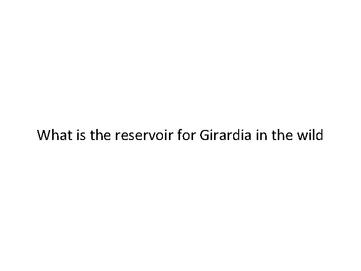 What is the reservoir for Girardia in the wild 