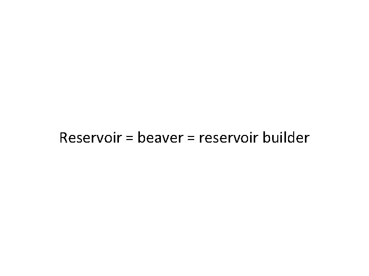 Reservoir = beaver = reservoir builder 