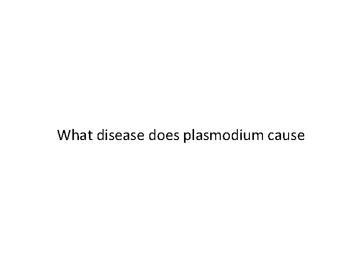 What disease does plasmodium cause 