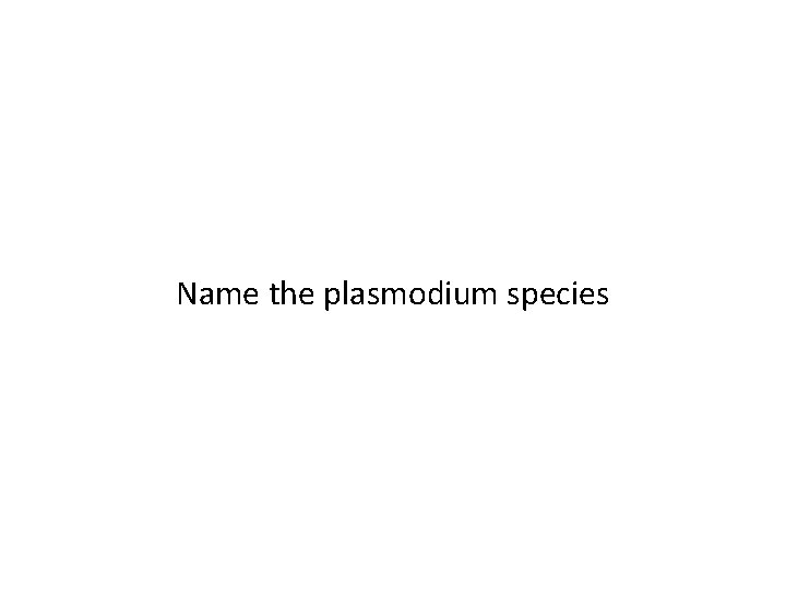 Name the plasmodium species 