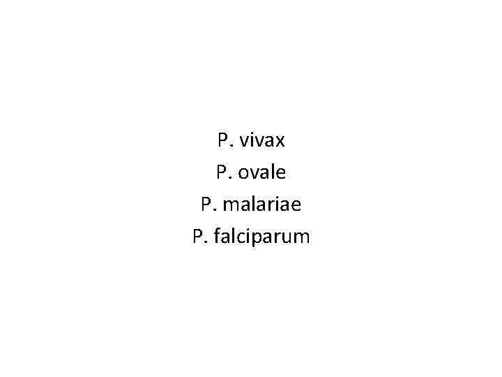 P. vivax P. ovale P. malariae P. falciparum 