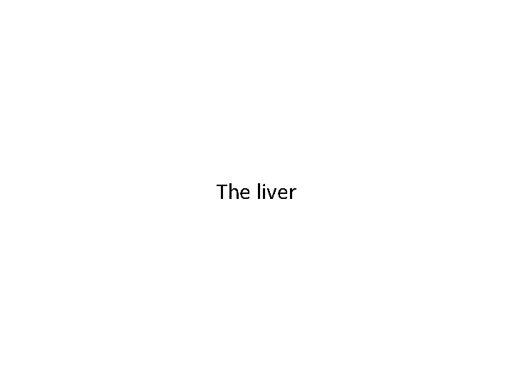 The liver 