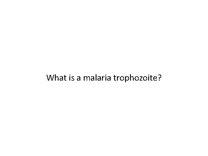 What is a malaria trophozoite? 