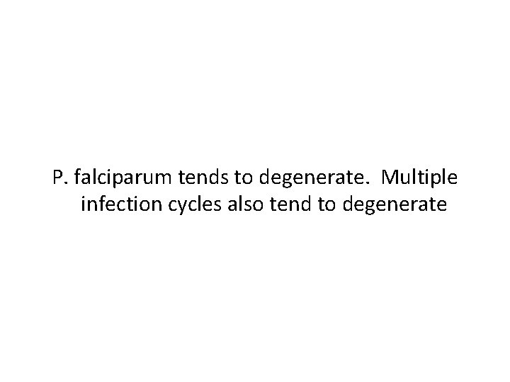 P. falciparum tends to degenerate. Multiple infection cycles also tend to degenerate 