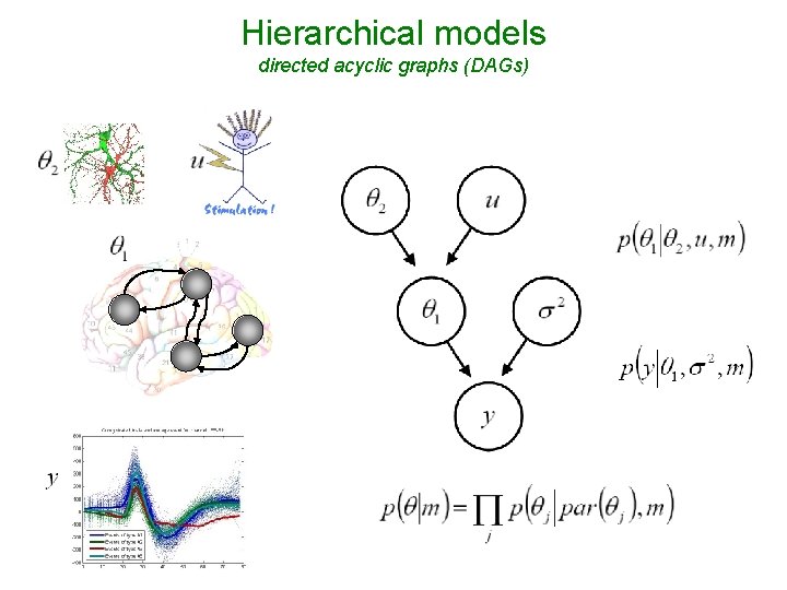 Hierarchical models directed acyclic graphs (DAGs) 