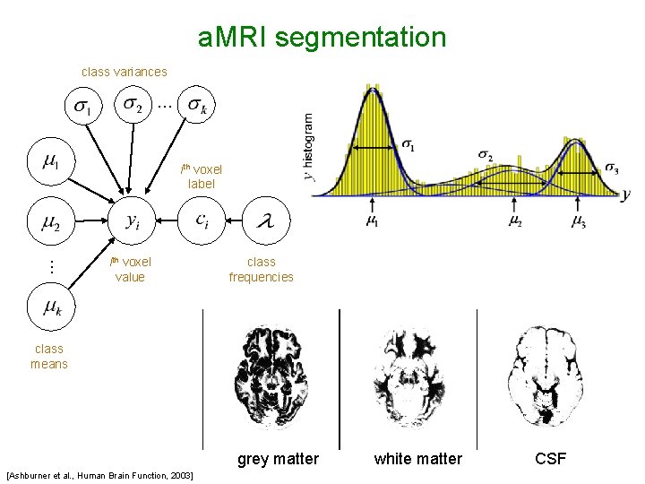 a. MRI segmentation class variances … … ith voxel label ith voxel value class
