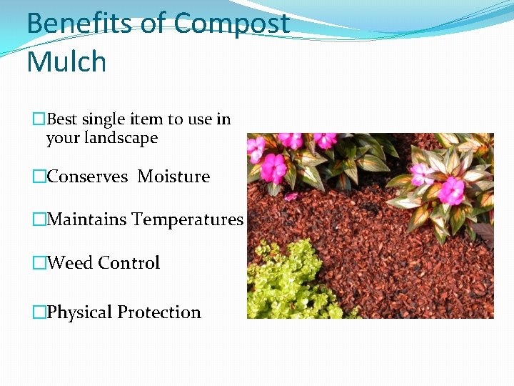 Benefits of Compost Mulch �Best single item to use in your landscape �Conserves Moisture