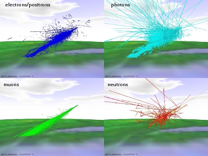 electrons/positrons muons photons neutrons 