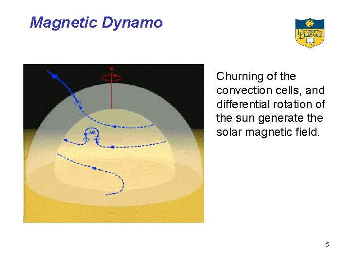 Magnetic Dynamo Churning of the convection cells, and differential rotation of the sun generate