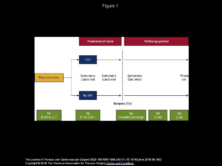 Figure 1 The Journal of Thoracic and Cardiovascular Surgery 2020 1601050 -1059. e 3