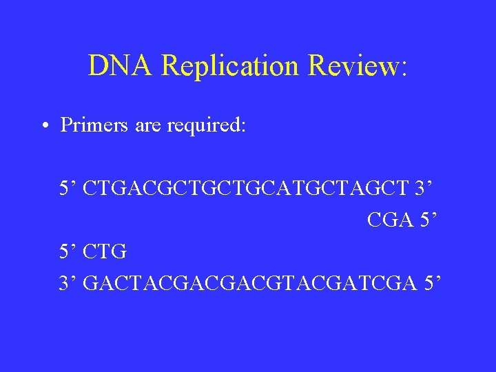 DNA Replication Review: • Primers are required: 5’ CTGACGCTGCTGCATGCTAGCT 3’ CGA 5’ CTG 3’