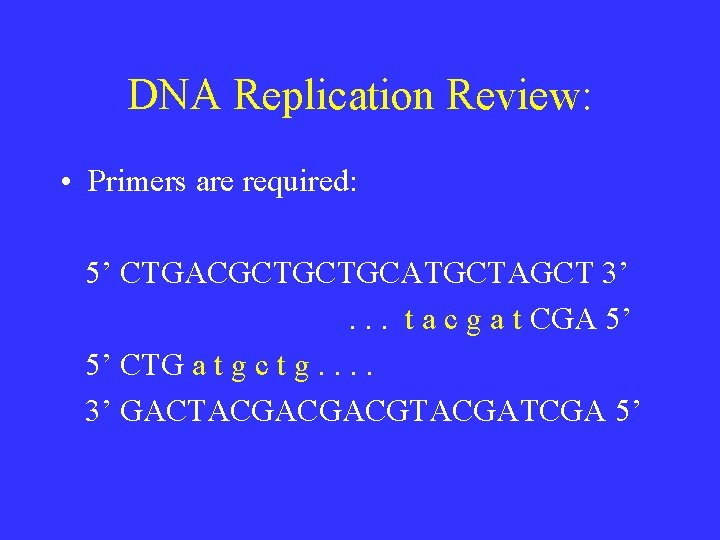 DNA Replication Review: • Primers are required: 5’ CTGACGCTGCTGCATGCTAGCT 3’. . . t a