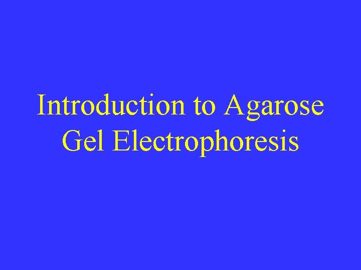 Introduction to Agarose Gel Electrophoresis 