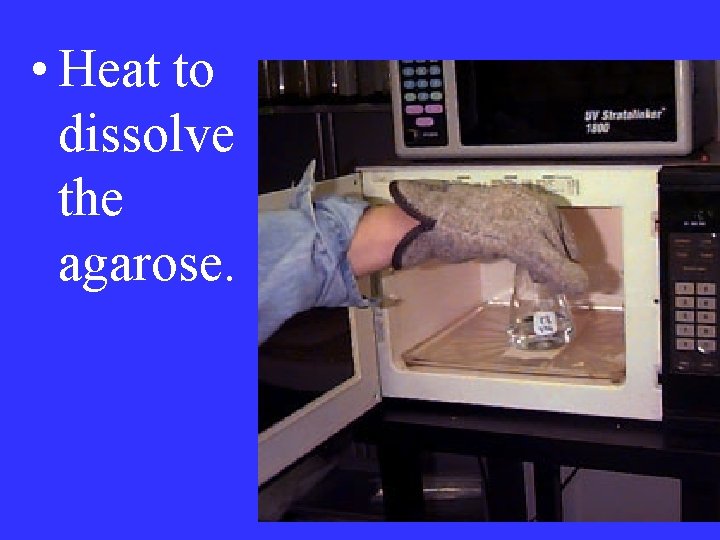  • Heat to dissolve the agarose. 