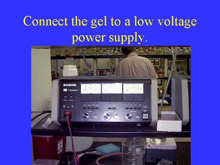 Connect the gel to a low voltage power supply. 