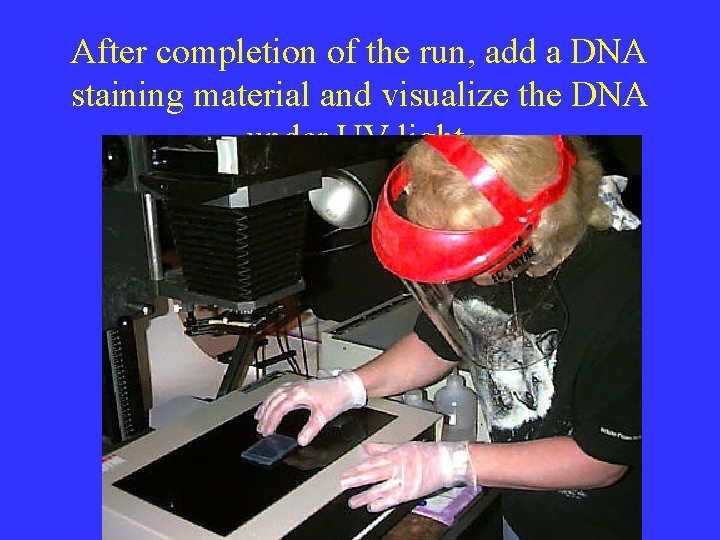 After completion of the run, add a DNA staining material and visualize the DNA