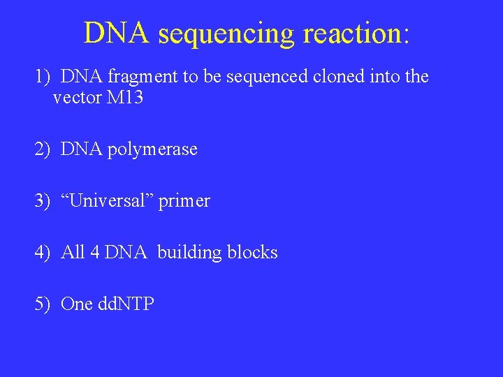 DNA sequencing reaction: 1) DNA fragment to be sequenced cloned into the vector M