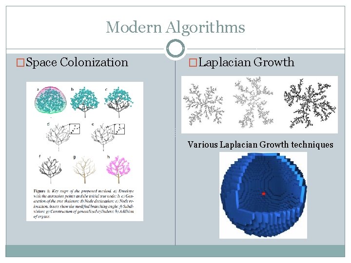 Modern Algorithms �Space Colonization �Laplacian Growth Various Laplacian Growth techniques 