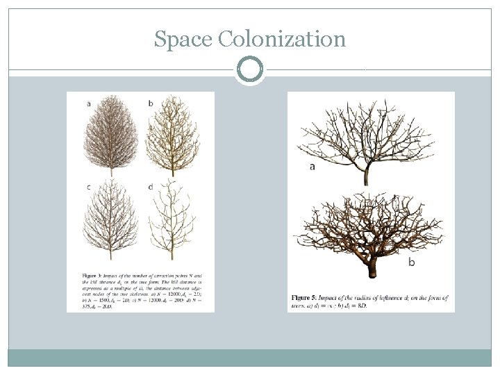 Space Colonization 