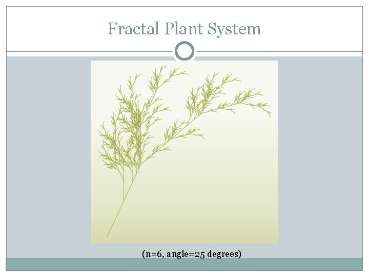 Fractal Plant System (n=6, angle=25 degrees) 