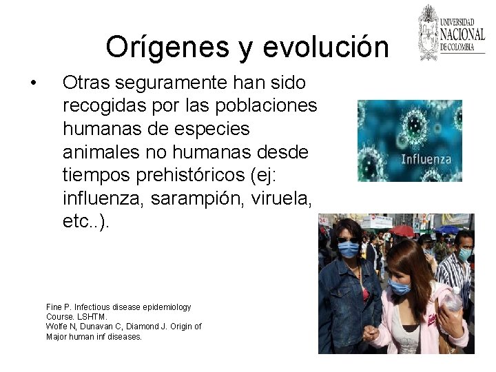 Orígenes y evolución • Otras seguramente han sido recogidas por las poblaciones humanas de