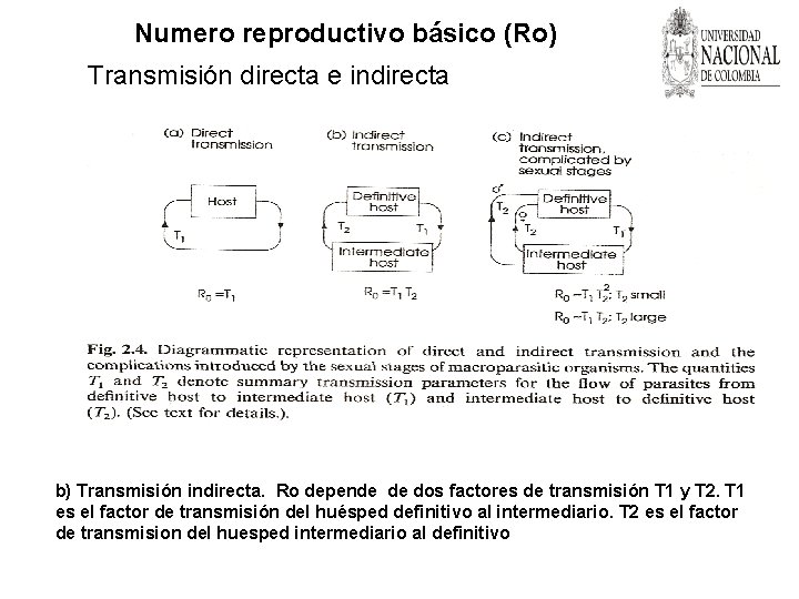 Numero reproductivo básico (Ro) Transmisión directa e indirecta b) Transmisión indirecta. Ro depende de