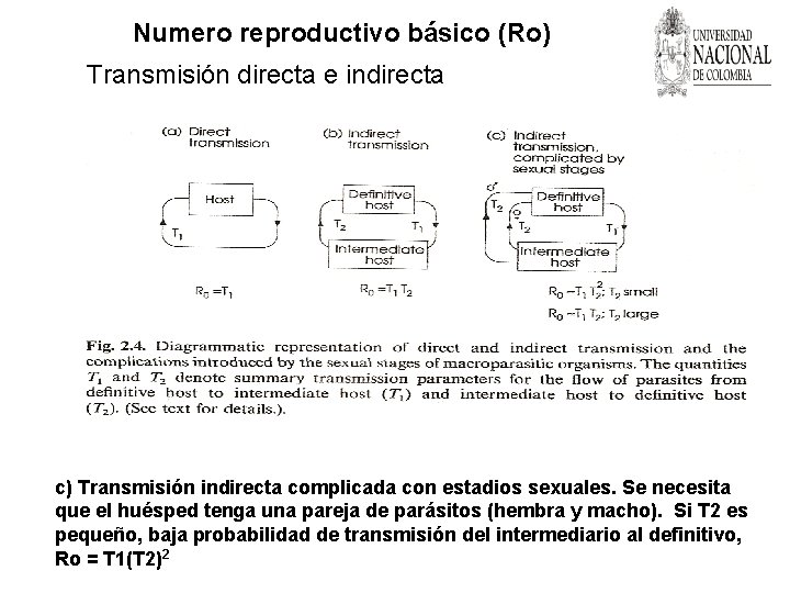 Numero reproductivo básico (Ro) Transmisión directa e indirecta c) Transmisión indirecta complicada con estadios