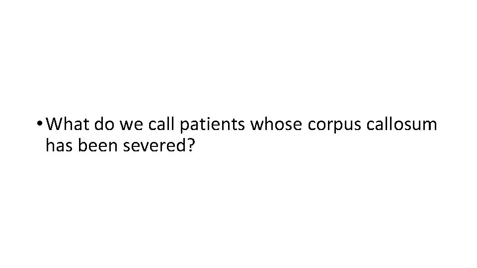  • What do we call patients whose corpus callosum has been severed? 