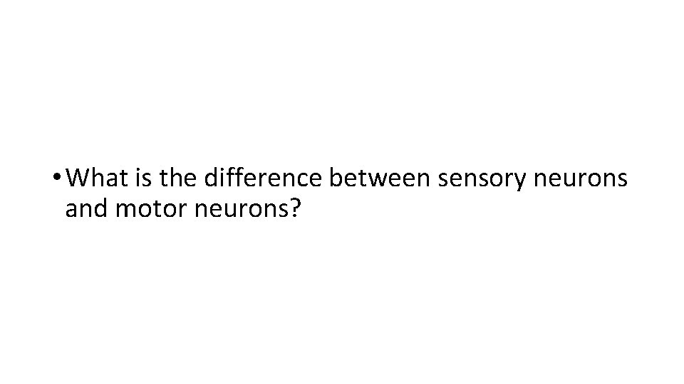  • What is the difference between sensory neurons and motor neurons? 