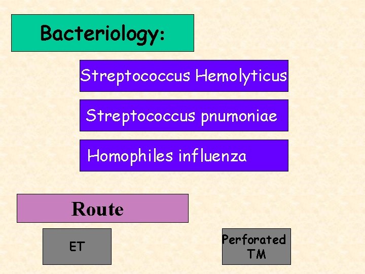 Bacteriology: Streptococcus Hemolyticus Streptococcus pnumoniae Homophiles influenza Route ET Perforated TM 