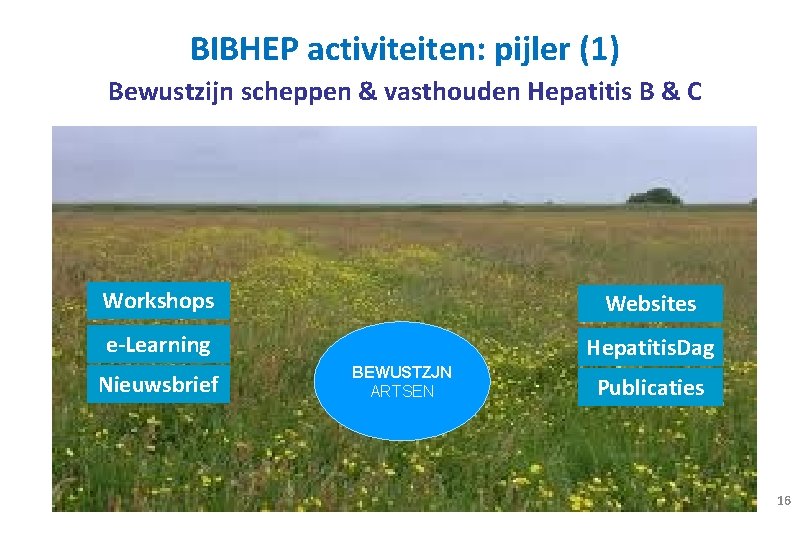 BIBHEP activiteiten: pijler (1) Bewustzijn scheppen & vasthouden Hepatitis B & C Workshops Websites