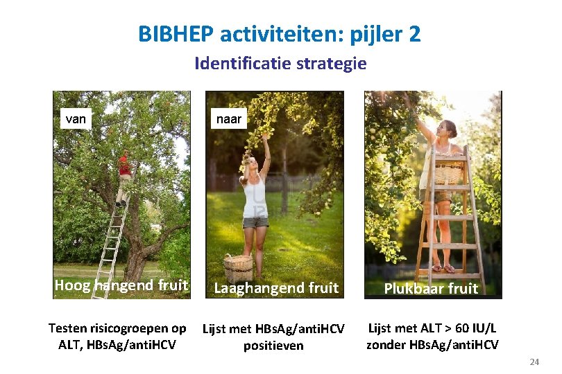 BIBHEP activiteiten: pijler 2 Identificatie strategie van naar Hoog hangend fruit Laaghangend fruit Plukbaar