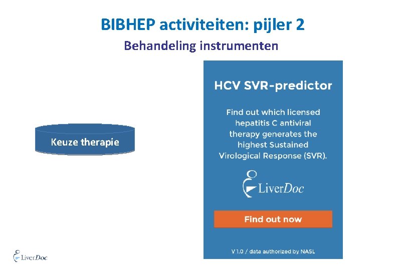 BIBHEP activiteiten: pijler 2 Behandeling instrumenten Keuze therapie print 