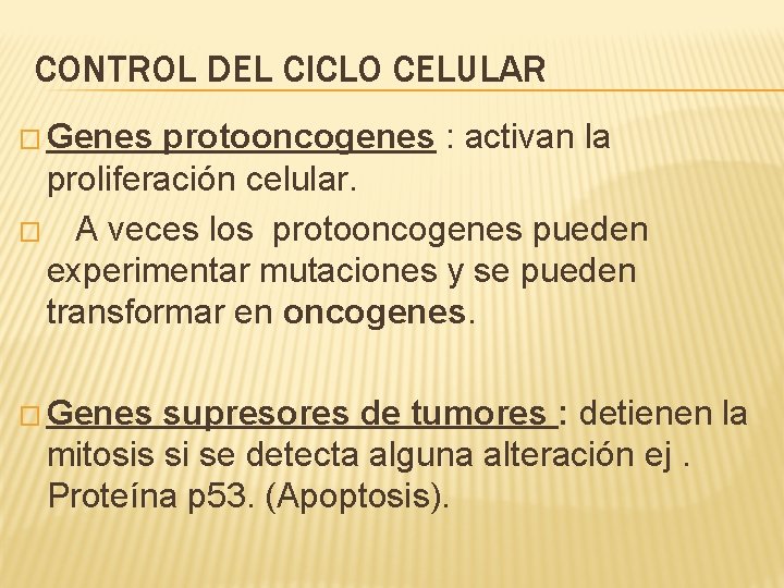 CONTROL DEL CICLO CELULAR � Genes protooncogenes : activan la proliferación celular. � A