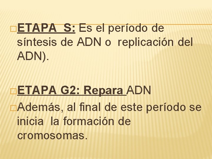 �ETAPA S: Es el período de síntesis de ADN o replicación del ADN). �ETAPA