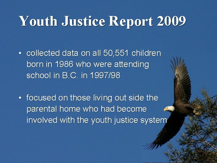 Youth Justice Report 2009 • collected data on all 50, 551 children born in