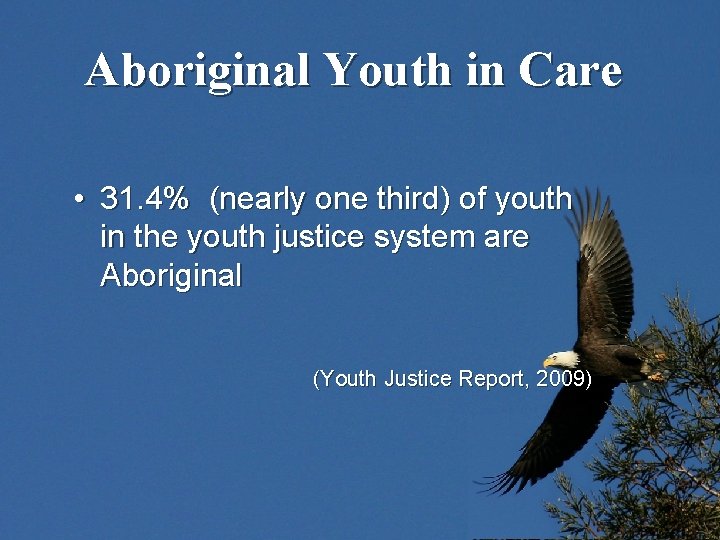 Aboriginal Youth in Care • 31. 4% (nearly one third) of youth in the