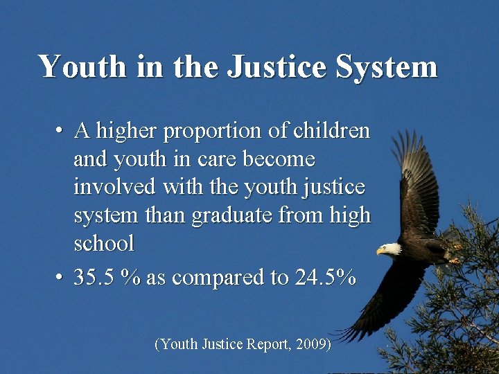 Youth in the Justice System • A higher proportion of children and youth in