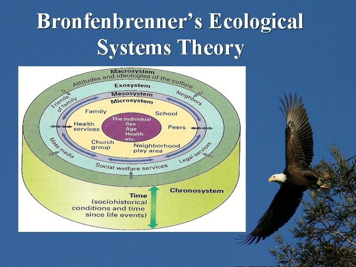 Bronfenbrenner’s Ecological Systems Theory 