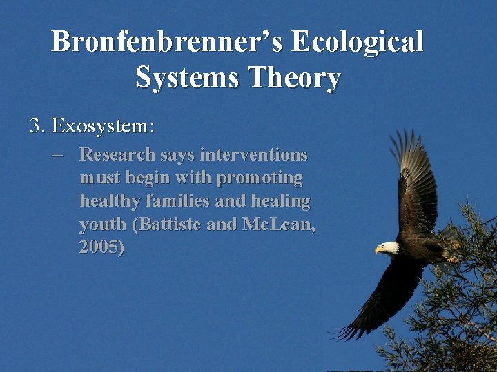 Bronfenbrenner’s Ecological Systems Theory 3. Exosystem: – Research says interventions must begin with promoting