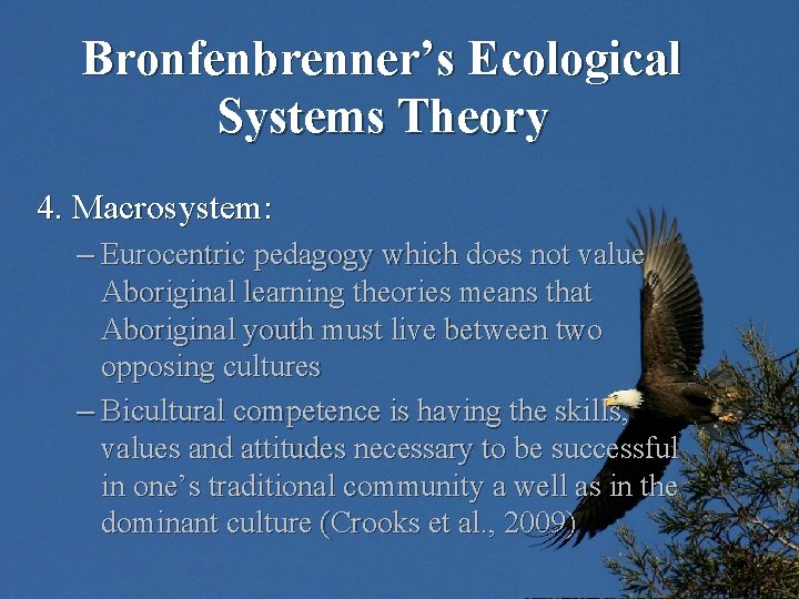 Bronfenbrenner’s Ecological Systems Theory 4. Macrosystem: – Eurocentric pedagogy which does not value Aboriginal