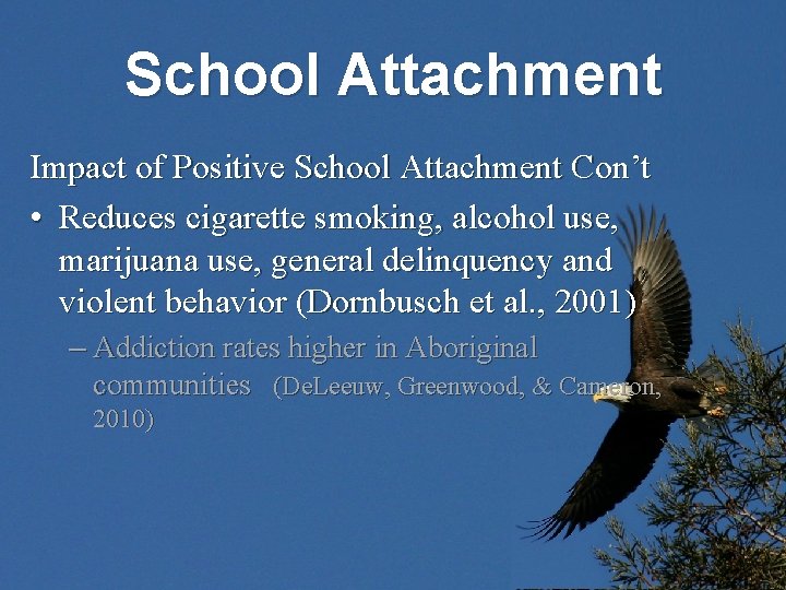 School Attachment Impact of Positive School Attachment Con’t • Reduces cigarette smoking, alcohol use,