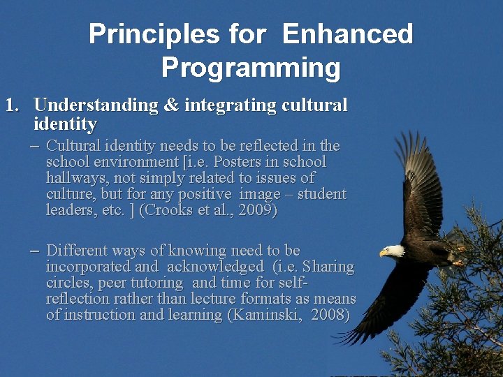 Principles for Enhanced Programming 1. Understanding & integrating cultural identity – Cultural identity needs