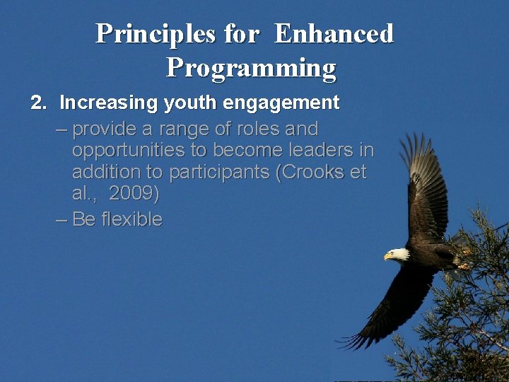 Principles for Enhanced Programming 2. Increasing youth engagement – provide a range of roles