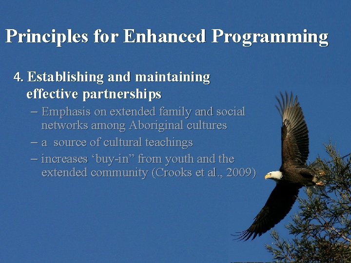 Principles for Enhanced Programming 4. Establishing and maintaining effective partnerships – Emphasis on extended